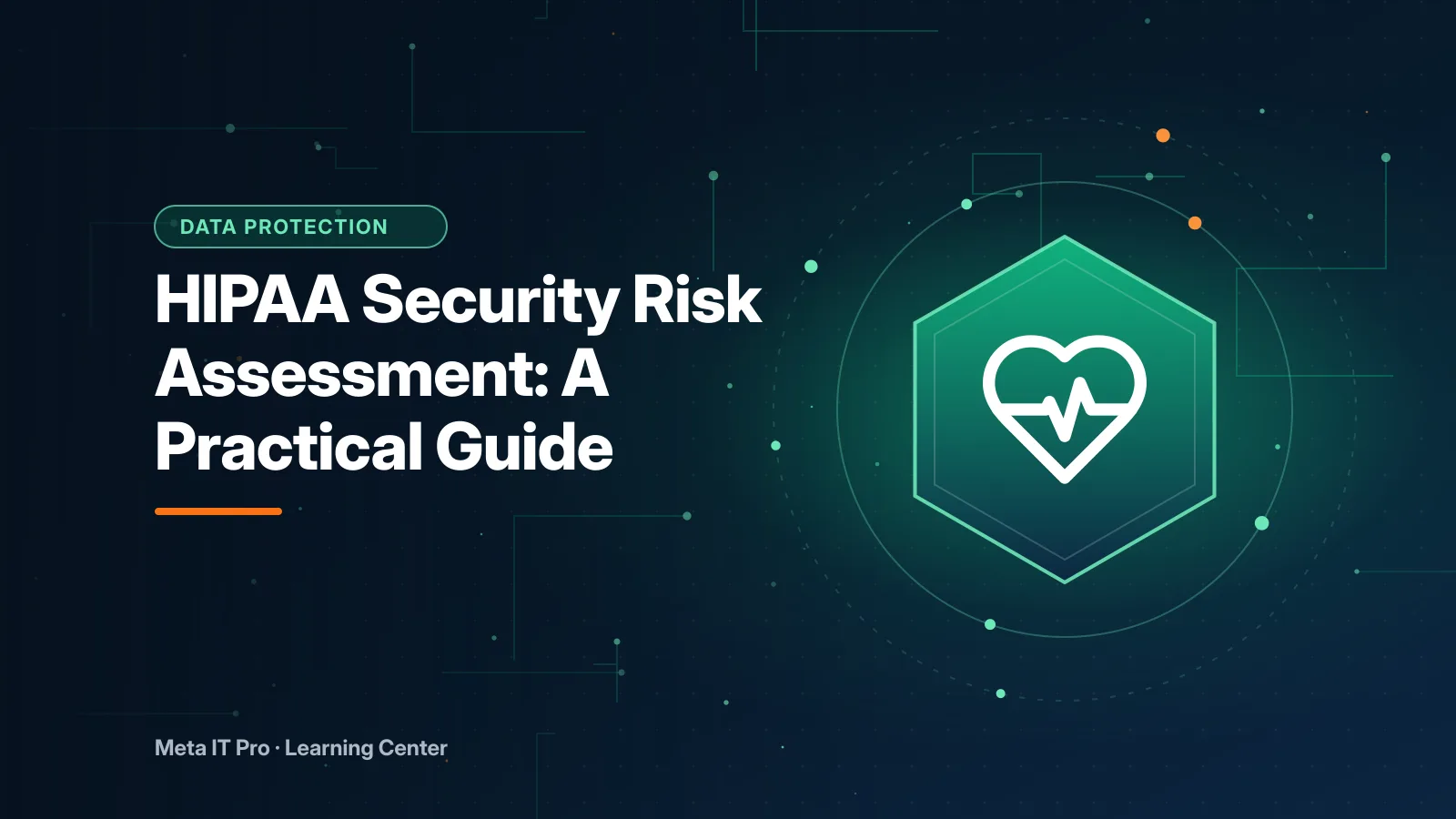 HIPAA Security Risk Assessment: A Practical Guide — Data Protection illustration from Meta IT Pro