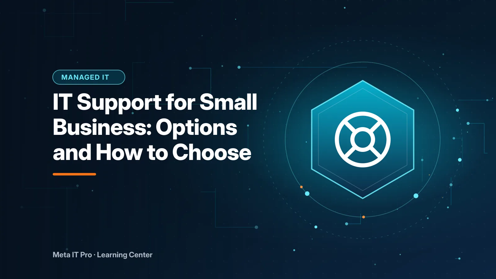 IT Support for Small Business: Options and How to Choose — Managed IT illustration from Meta IT Pro