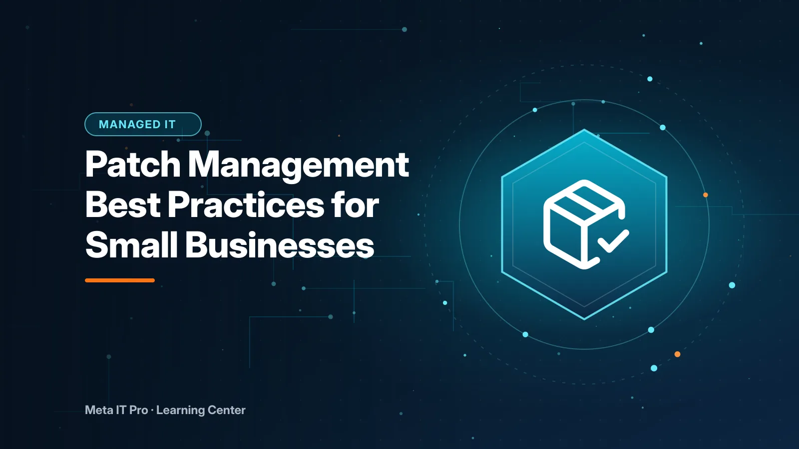 Patch Management Best Practices for Small Businesses — Managed IT illustration from Meta IT Pro