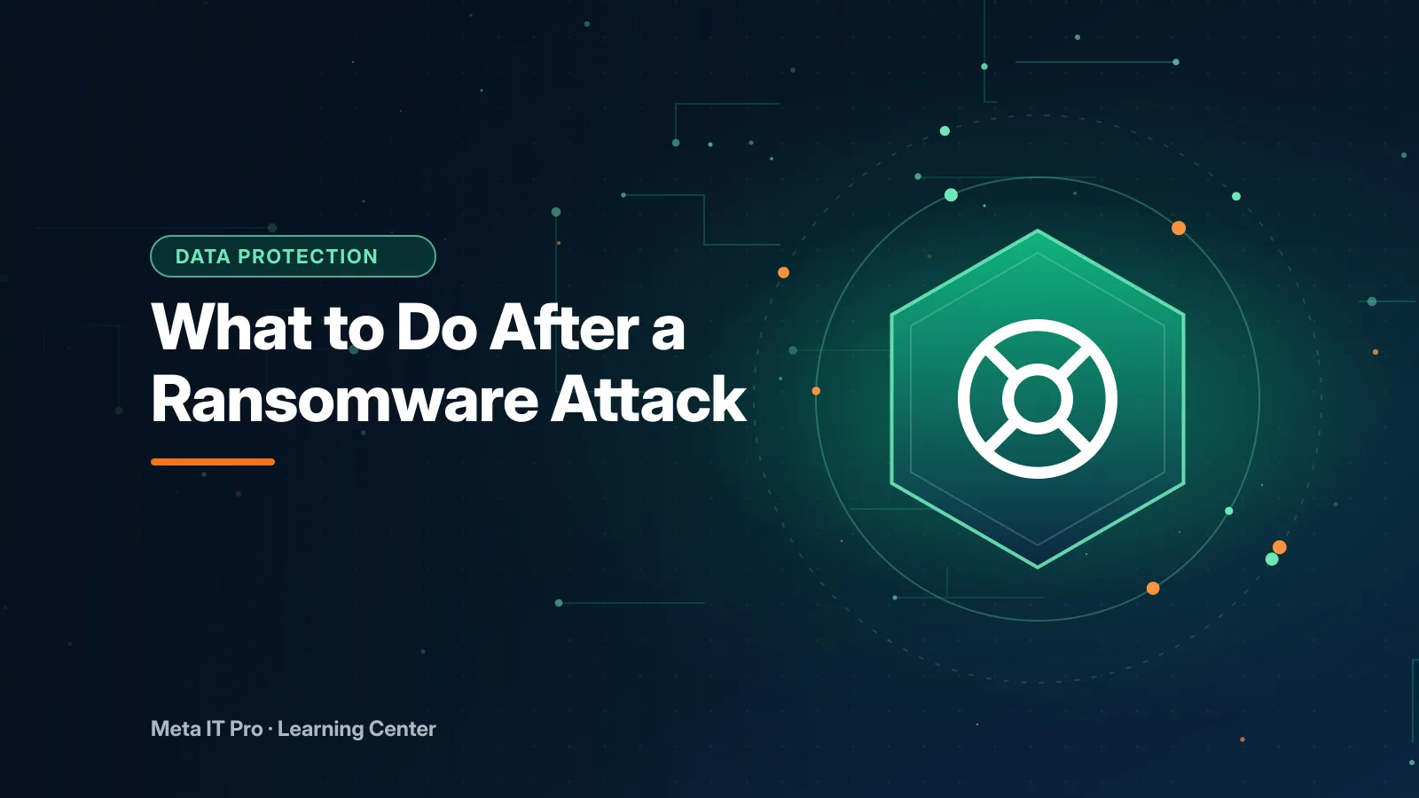 What to Do After a Ransomware Attack — Data Protection illustration from Meta IT Pro