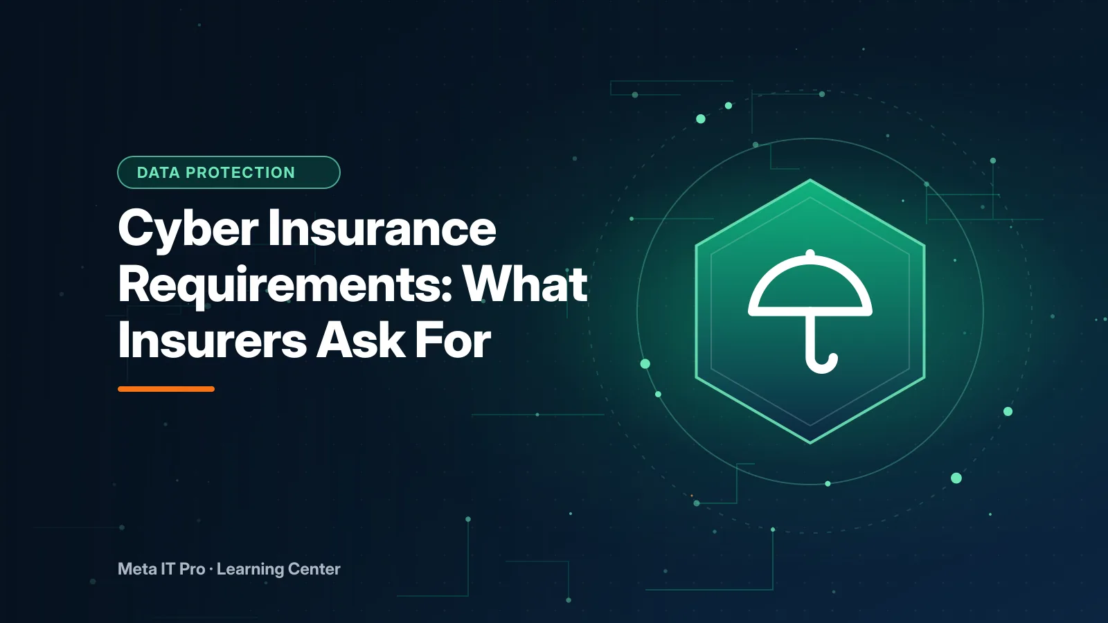 Cyber Insurance Requirements: What Insurers Ask For — Data Protection illustration from Meta IT Pro