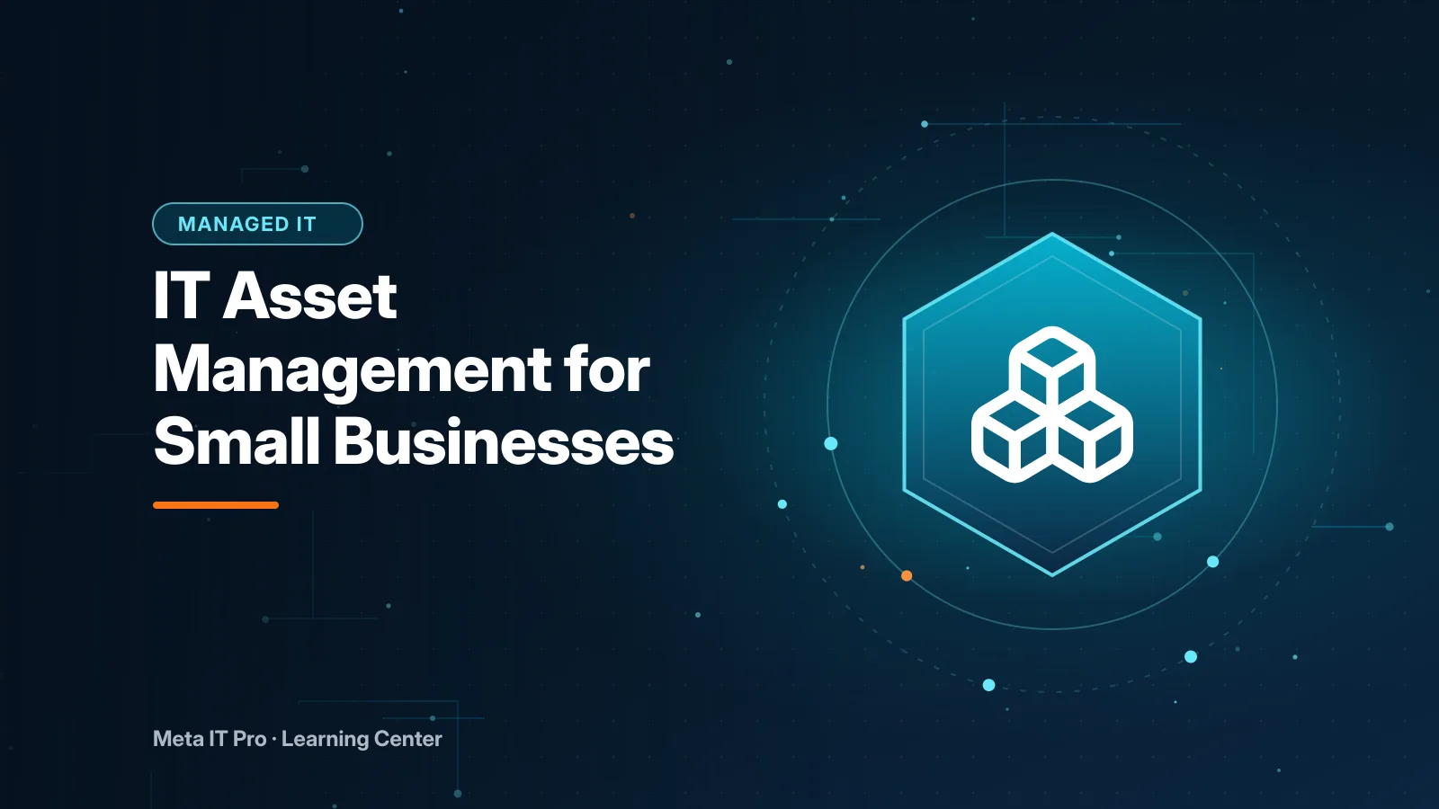 IT Asset Management for Small Businesses — Managed IT illustration from Meta IT Pro