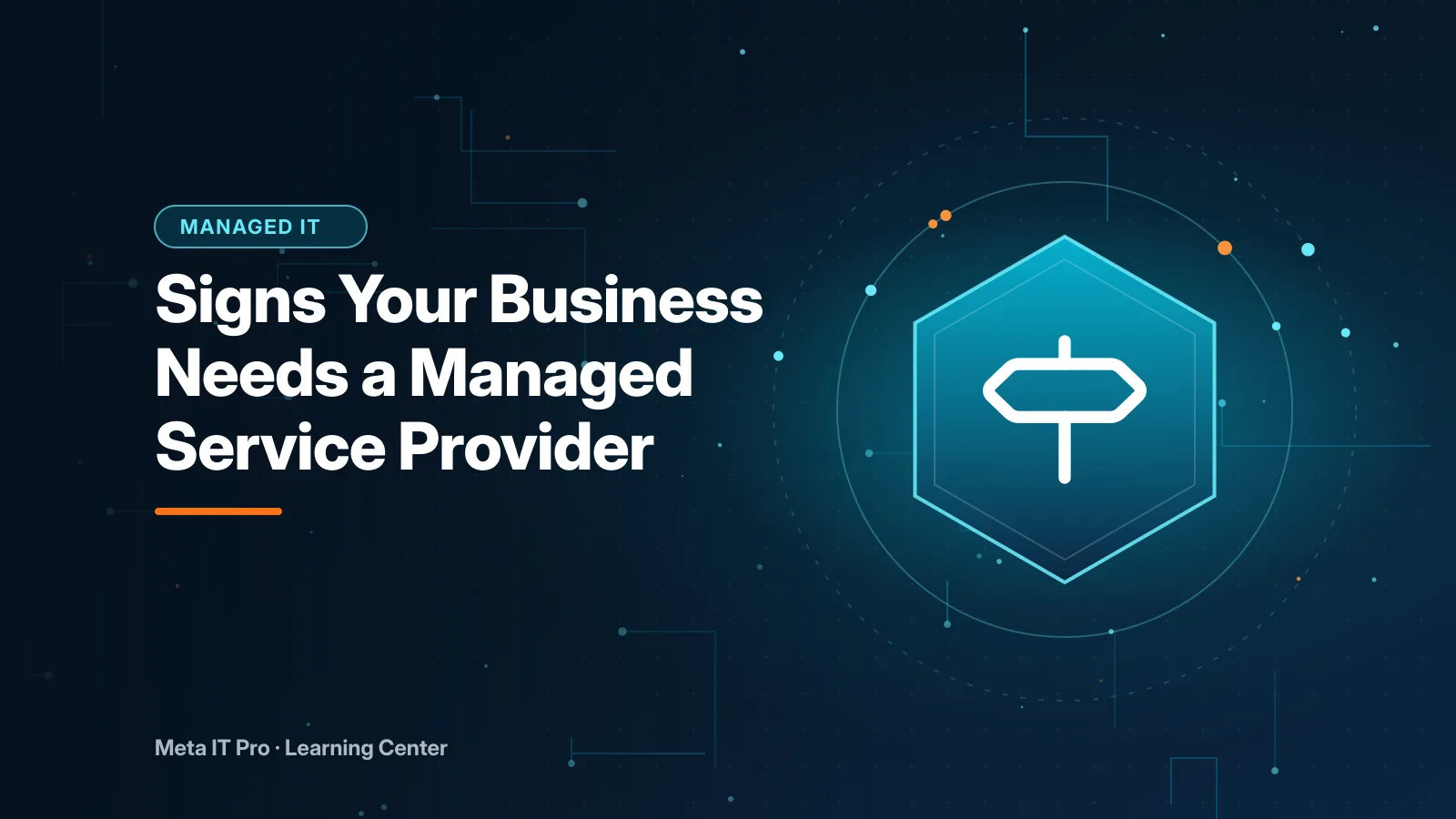 Signs Your Business Needs a Managed Service Provider — Managed IT illustration from Meta IT Pro